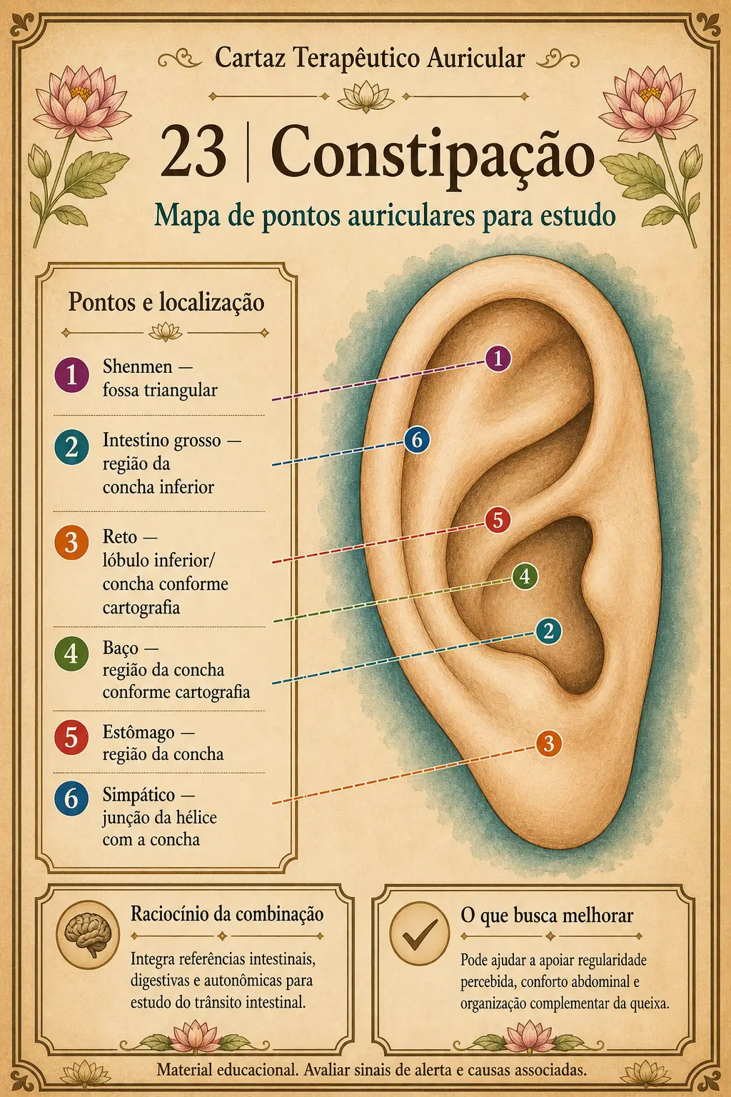 Cartaz terapêutico auricular sobre constipação